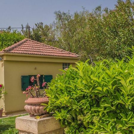Sylvia'S Guest House Kavrokhorion Екстер'єр фото